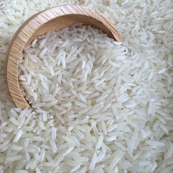 Rice